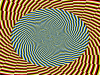 14306739.png