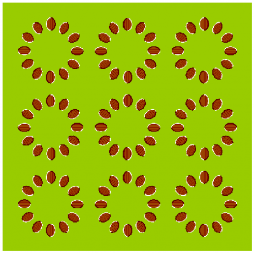 16875910 h.png